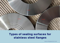 //iirorwxhikjmln5p-static.micyjz.com/cloud/lpBpjKlqlnSRokmkroipiq/Types-of-sealing-surfaces-for-stainless-steel-flanges.png